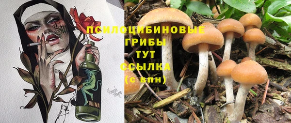 трава Арсеньев