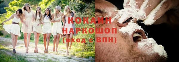 трава Арсеньев