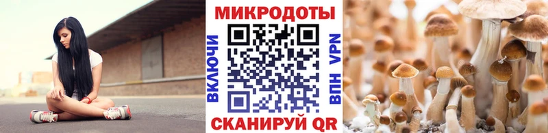 Псилоцибиновые грибы Psilocybine cubensis  Баймак 